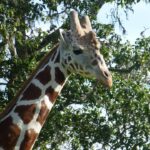 10013906_10152317562080498_7646499379247150478_n