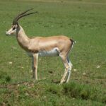 10154310_10152317579245498_373026993623791695_n